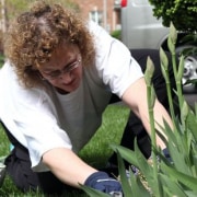 experiencing back pain while gardening