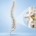 Chiropractor for Pinched Nerves in Victoria