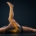 Sciatica Nerve Flossing